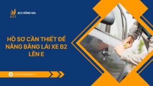 Hồ sơ cần thiết để nâng bằng lái xe B2 lên E