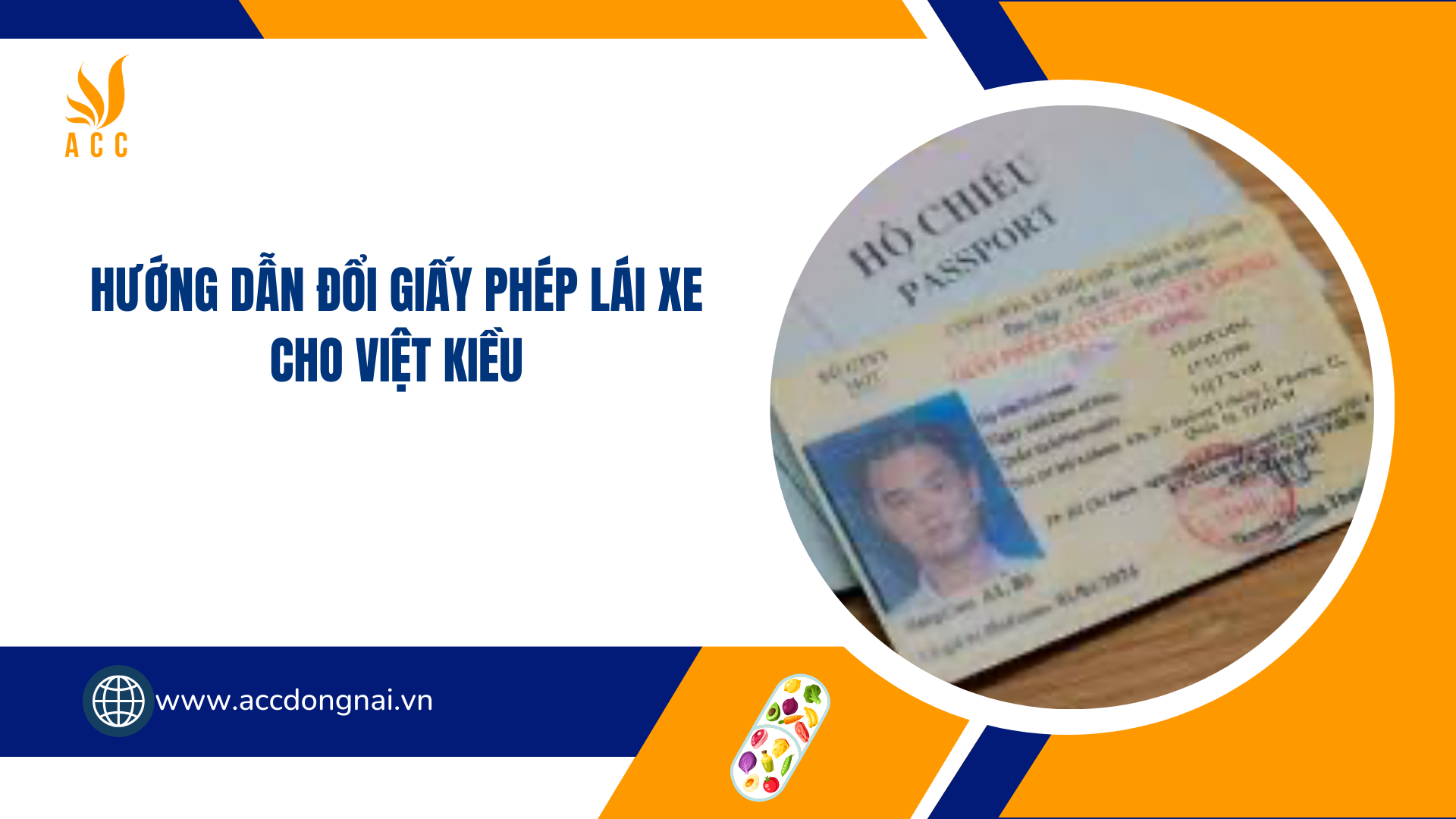Hướng dẫn đổi giấy phép lái xe cho việt kiều
