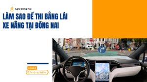 Làm sao để thi bằng lái xe nâng tại Đồng Nai