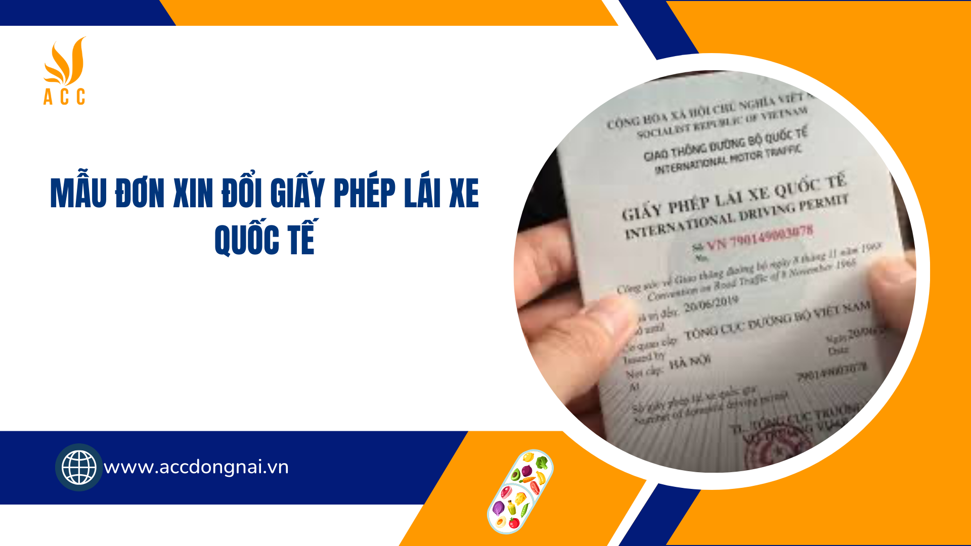 Mẫu đơn xin đổi giấy phép lái xe quốc tế