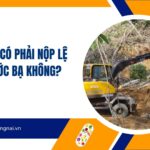 Máy xúc có phải nộp lệ phí trước bạ không