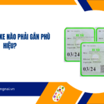 Những loại xe nào phải gắn phù hiệu