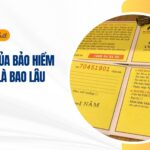 Thời hạn của bảo hiểm xe máy là bao lâu