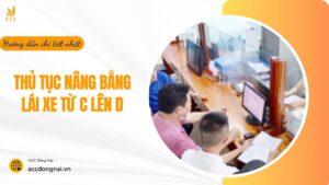 Thủ tục nâng bằng lái xe từ C lên D