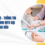 công ty tnhh mtv đại phú gia bảo