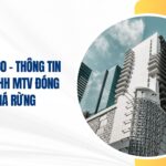 công ty tnhh mtv đóng tàu phà rừng