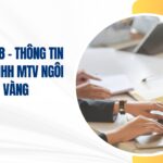 công ty tnhh mtv ngôi sao vàng