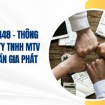 công ty tnhh mtv phạm trần gia phát