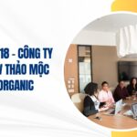 công ty tnhh mtv thảo mộc nam organic