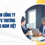 công ty tnhh mtv thương mại đông nam việt