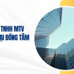 công ty tnhh mtv thương mại đồng tâm