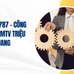 công ty tnhh mtv triệu quang