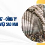 công ty tnhh mtv việt sao mai