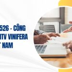 công ty tnhh mtv vinifera việt nam