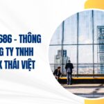 công ty tnhh mtv xnk thái việt