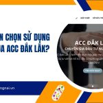 Tại sao nên chọn sử dụng dịch vụ của ACC Đắk Lắk