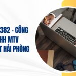 công ty tnhh mtv gemadept hải phòng