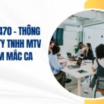 công ty tnhh mtv him lam mắc ca