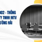 công ty tnhh mtv huế trường hải