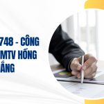 công ty tnhh mtv hồng thắng