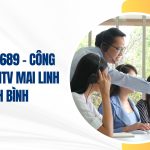 công ty tnhh mtv mai linh ninh bình