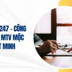 công ty tnhh mtv mộc nhật minh