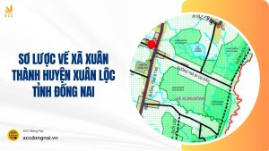bản đồ xã xuân đông cẩm mỹ_