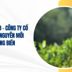 công ty cổ phần tài nguyên môi trường biển