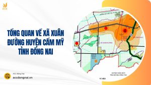 xã xuân đường huyện cẩm mỹ tỉnh đồng nai