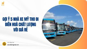 xe mỹ tho đi biên hoà