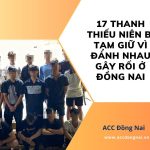 17 Thanh thiếu niên bị tạm giữ vì đánh nhau gây rối ở Đồng Nai