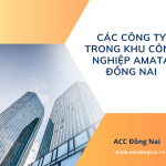 Các công ty trong khu công nghiệp Amata Đồng Nai