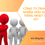 Công ty trách nhiệm hữu hạn tiếng Nhật là gì