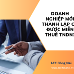 Doanh nghiệp mới thành lập có được miễn thuế TNDN