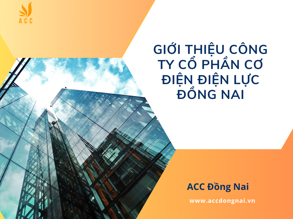 Giới thiệu công ty cổ phần cơ điện điện lực Đồng Nai