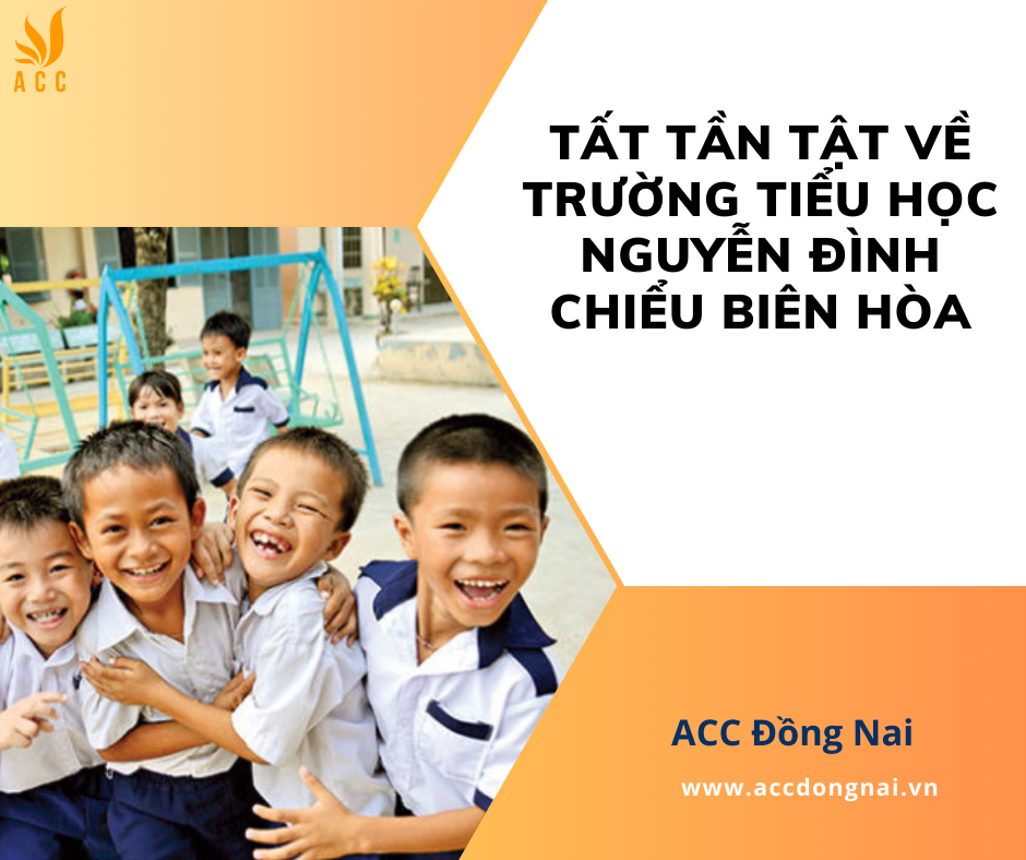 Tất tần tật về trường tiểu học Nguyễn Đình Chiểu Biên Hòa