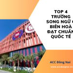 Top 4 trường song ngữ ở Biên Hoà đạt chuẩn quốc tế