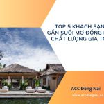Top 5 khách sạn gần Suối Mơ Đồng Nai chất lượng giá tốt