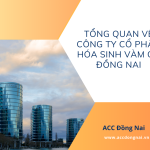 Tổng quan về công ty cổ phần hóa sinh Vàm Cỏ Đồng Nai