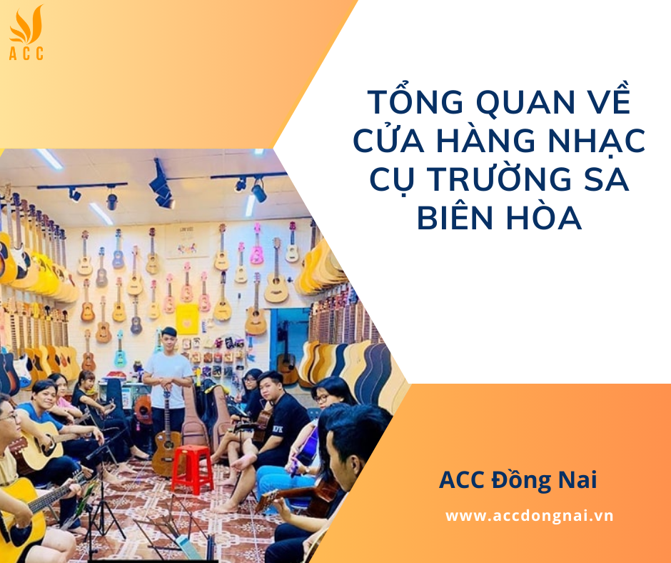 Tổng quan về cửa hàng nhạc cụ Trường Sa Biên Hòa
