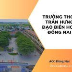 Trường THCS Trần Hưng Đạo Biên Hoà Đồng Nai