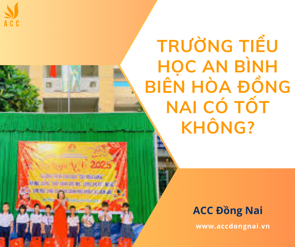 Trường tiểu học An Bình Biên Hòa Đồng Nai có tốt không