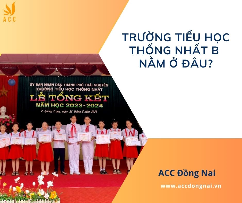 Trường tiểu học Thống Nhất B_ nằm ở đâu