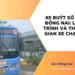 Xe buýt số 8 Đồng Nai_ Lộ trình và thời gian xe chạy
