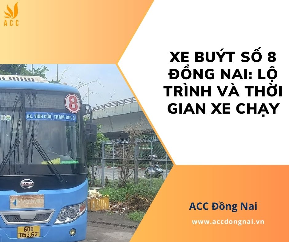 Xe buýt số 8 Đồng Nai_ Lộ trình và thời gian xe chạy