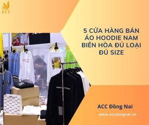 5 Cửa hàng bán áo hoodie nam Biên Hòa đủ loại đủ size.jpg