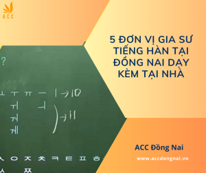 5 Đơn vị gia sư tiếng Hàn tại Đồng Nai dạy kèm tại nhà