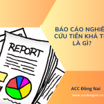 Báo cáo nghiên cứu tiền khả thi là gì
