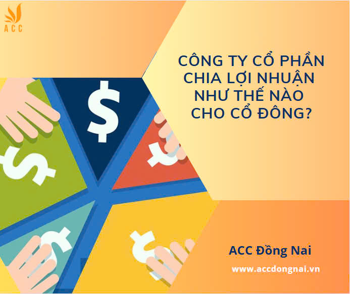 Công ty cổ phần chia lợi nhuận như thế nào cho cổ đông?.jpg