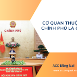 Cơ quan thuộc Chính phủ là gì